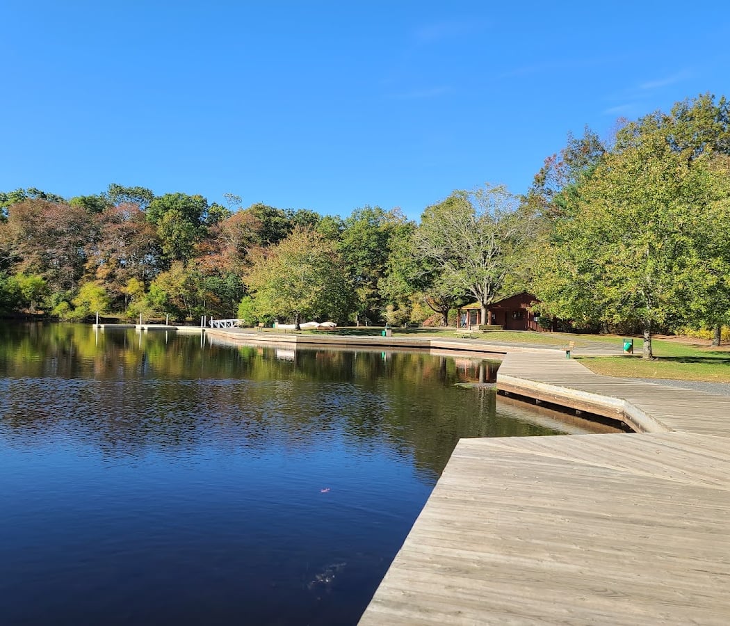Turkey Swamp Park 1